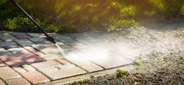 Best Solar Panel Cleaning  in Keshena, WI